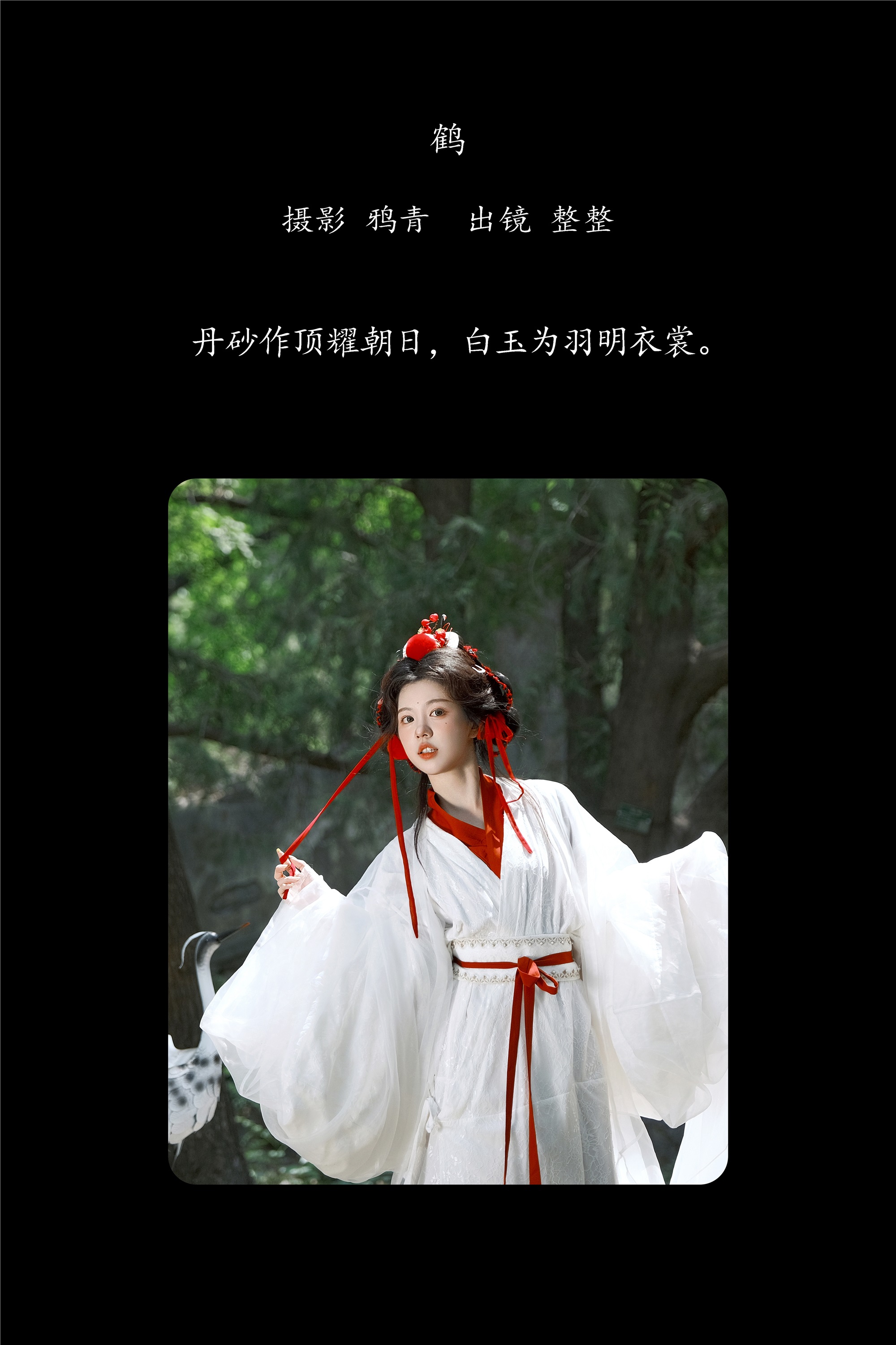 YITUYU艺图语 2025.02.05 鹤 整整